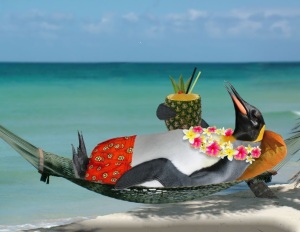relax-penguin